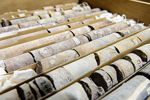 Rock Core Samples