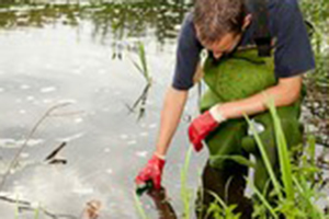 Getting water sample from pond