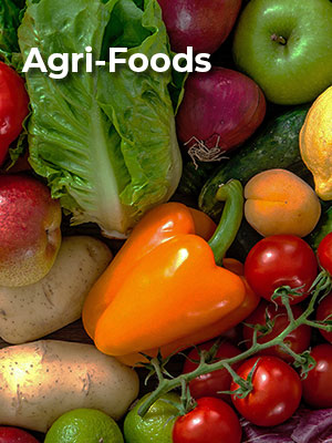 Agri Foods