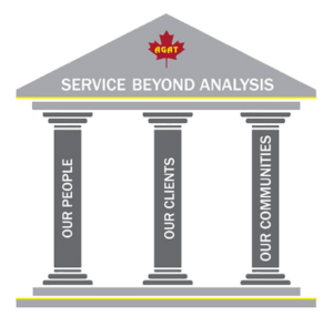 Service Beyond Analysis Graphic