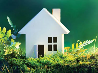 House Model with grass