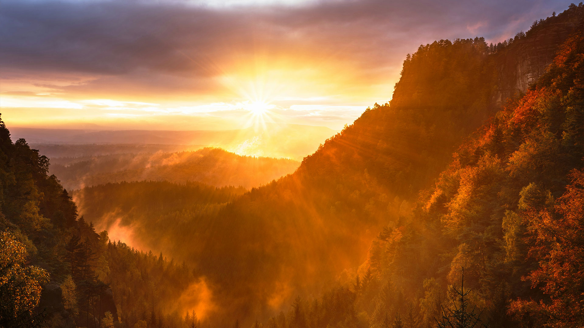 A dramatic sunset casting golden light over a forested valley with mist rising from the trees.