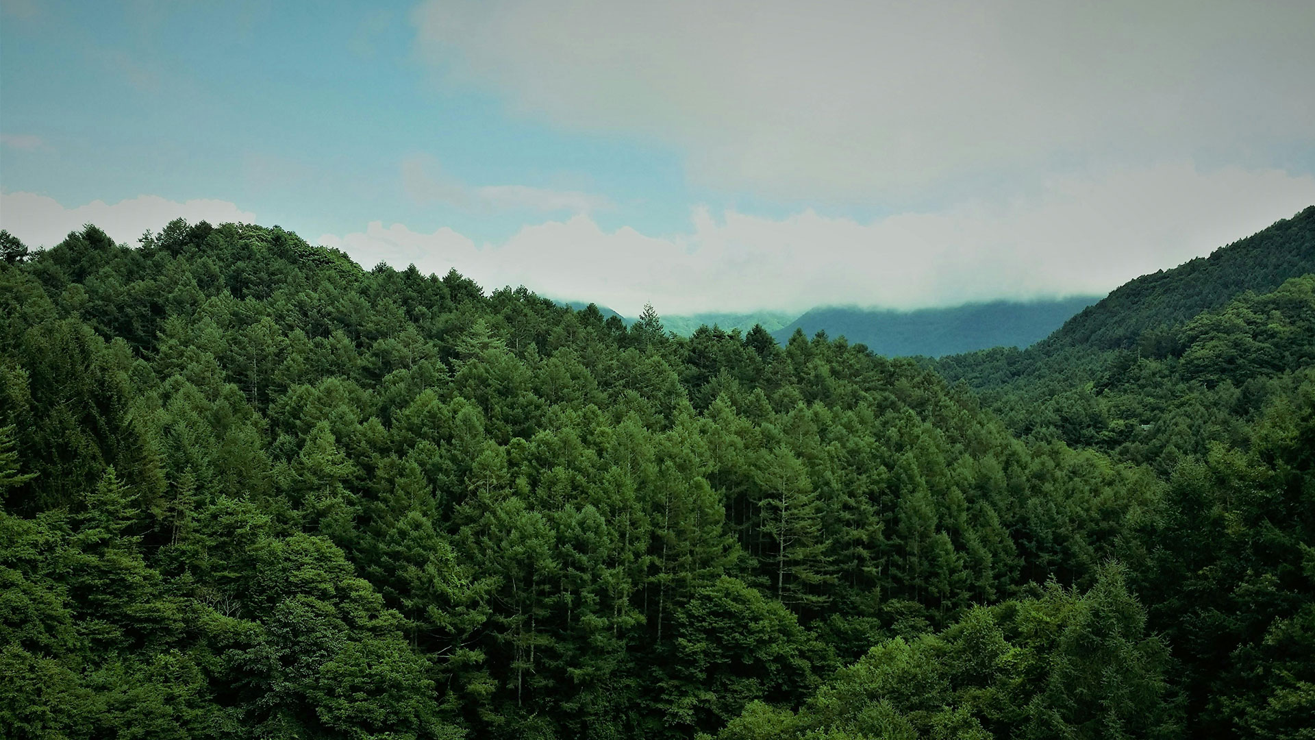 Puente peatonal al atardecer que representa el impacto en la comunidad y la conexión local en Arizona.